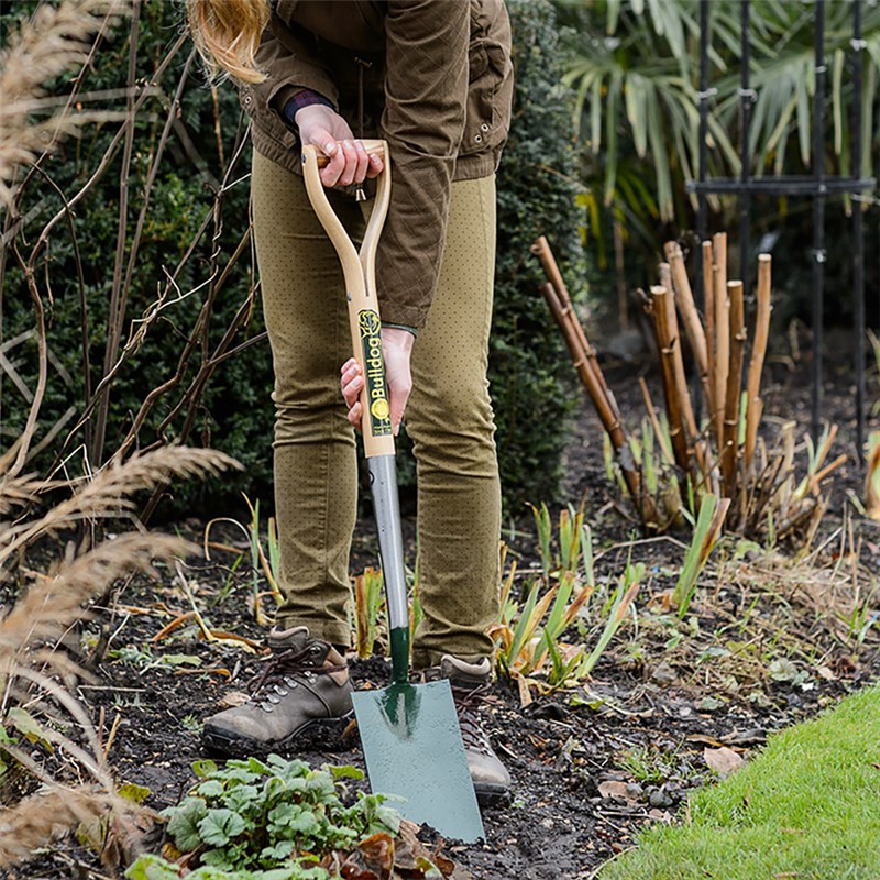 Bulldog Premier Border Spade, 28