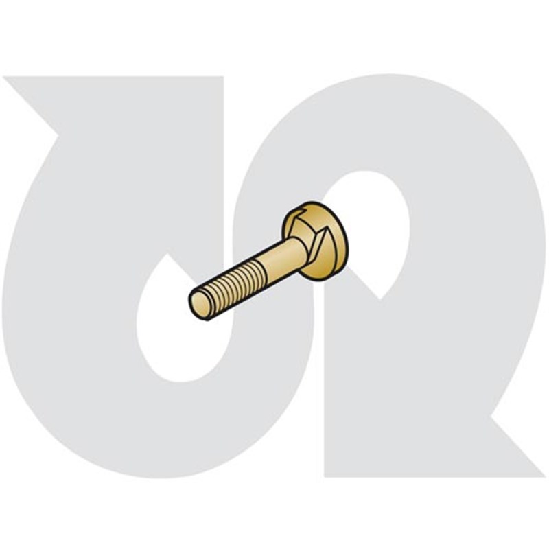 Pin (bearing adjuster)