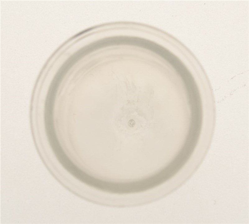 Primer Bulb/ Pump - (Non-Gen) Zama OEM: 57003