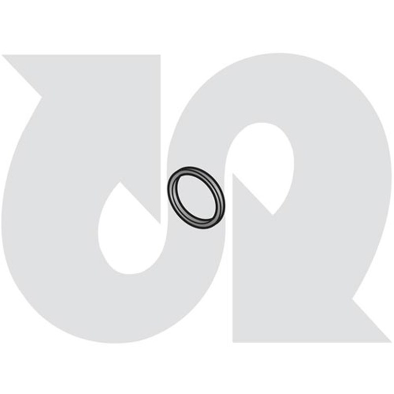 Lip Seal (drive side)