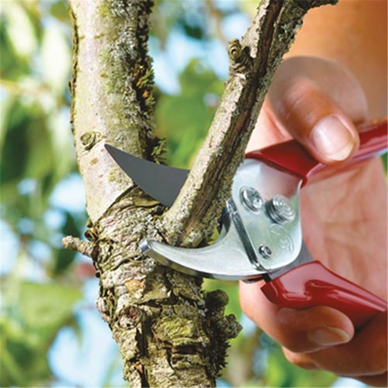 WOLF-Garten General Purpose Bypass Secateurs (RREN)