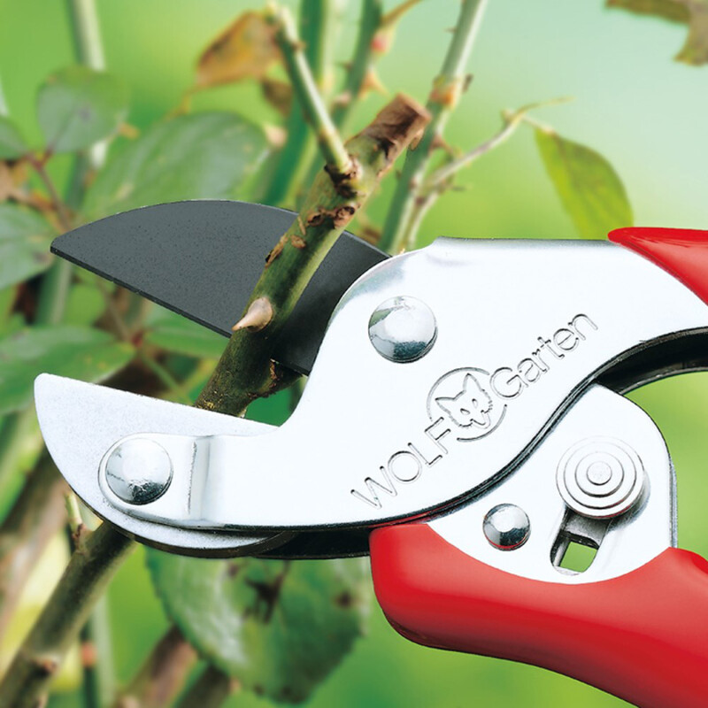 Wolf General Purpose Anvil Secateurs RSEN