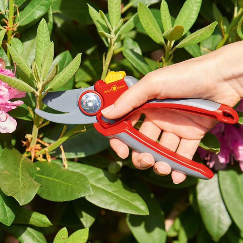 Wolf Bypass Secateurs Large RR4000