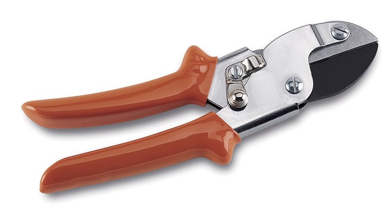 ANVIL SECATEURS